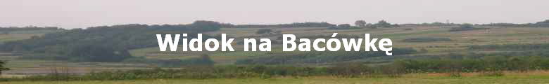 Widok na Bacwk?