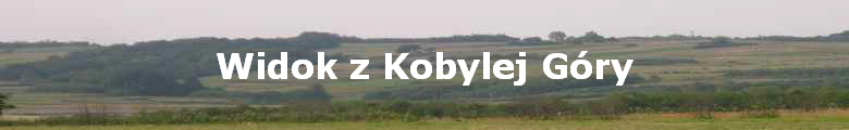 Widok z Kobylej Gry